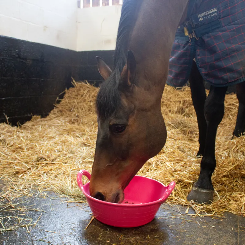 Red Gorilla Plas Small Skip 11L - Pink-2