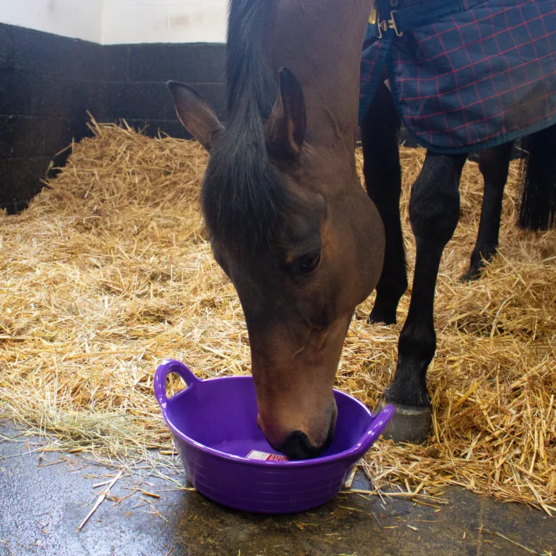 Red Gorilla Plas Small Skip 11L - Purple-2