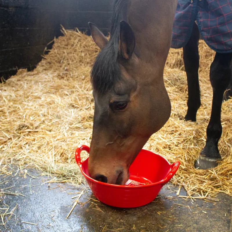 Red Gorilla Plas Small Skip 11L - Red-1