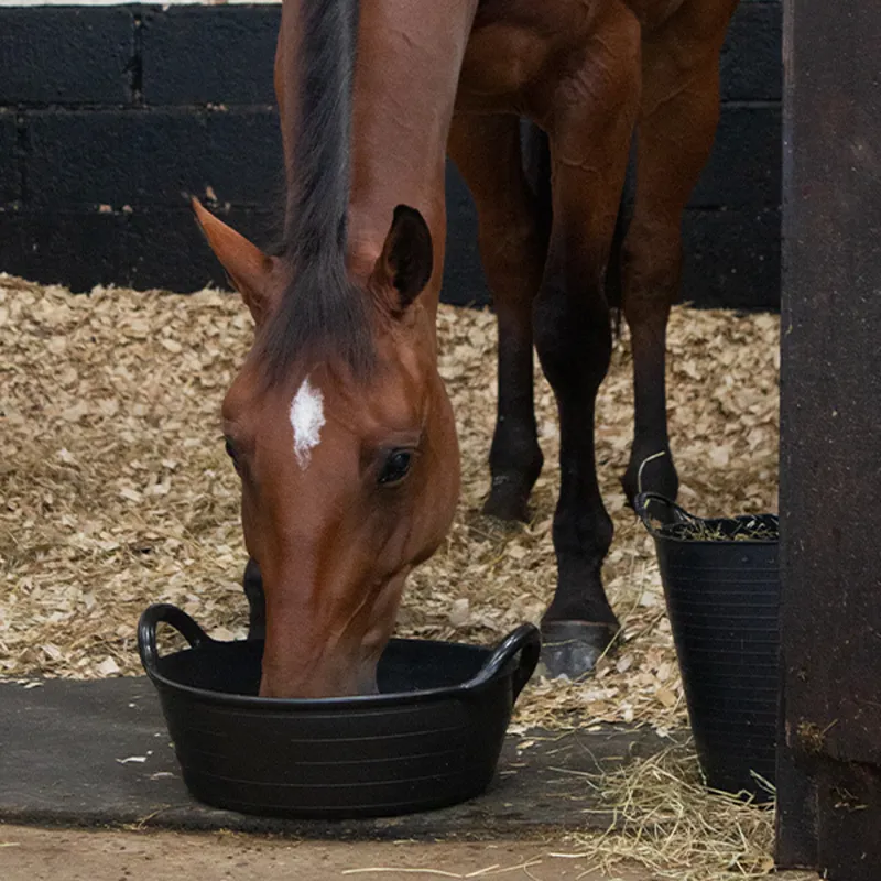 Red Gorilla Plas Medium Skip 20L - Black-3