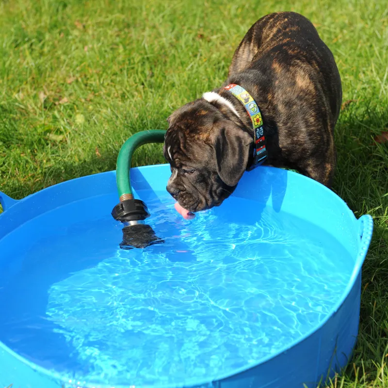 Red Gorilla Tubtrug Flexible Large Shallow 35L Bucket - Blue-2