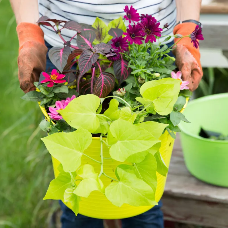 Red Gorilla Tubtrug Flexible Small 14L Bucket - Red-1