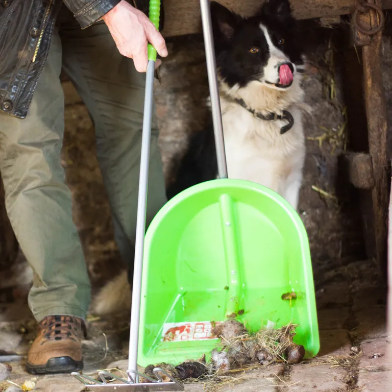 Red Gorilla Traditional Tidee with Rake - Pistachio-1