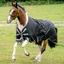 Amigo 1200D 50g Turnout Rug - Black/Titanium Grey/Silver