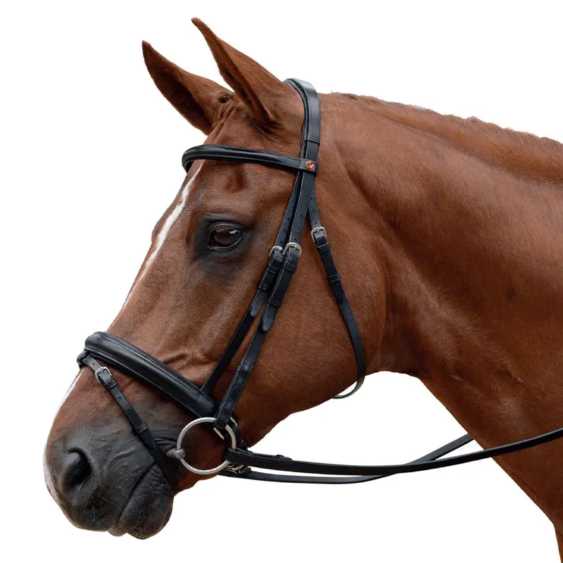 Albion KB Competition Padded Flash Bridle with Reins - Brown - Full