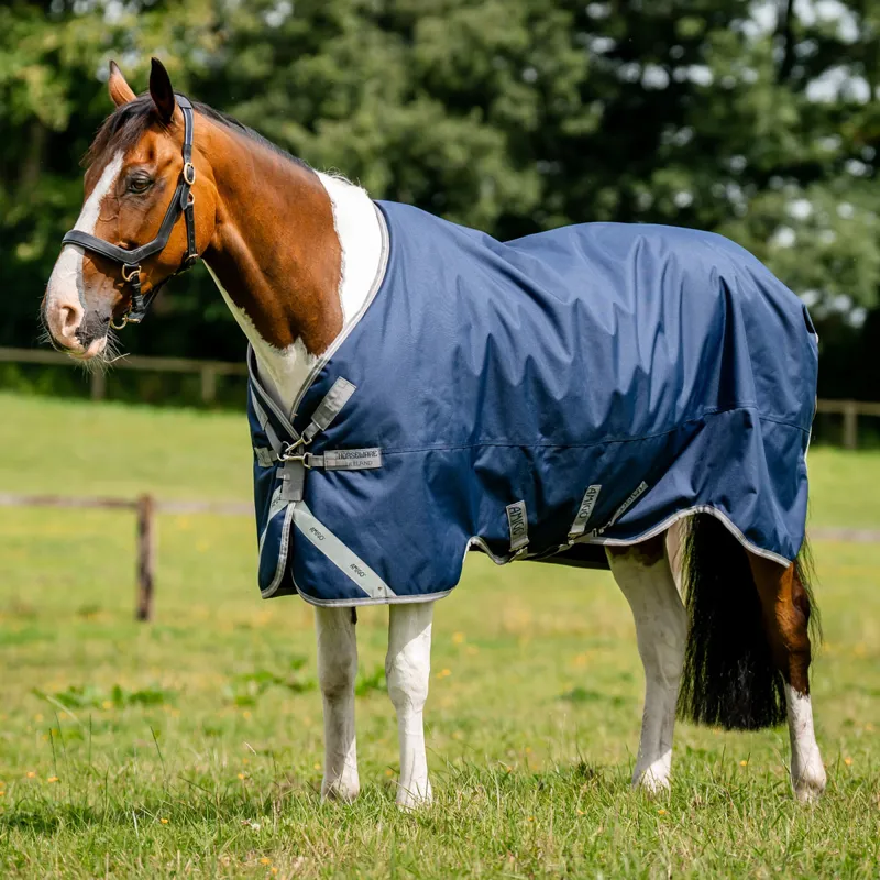 Amigo 1200D 250g Standard Neck Turnout Rug - Navy/Titanium