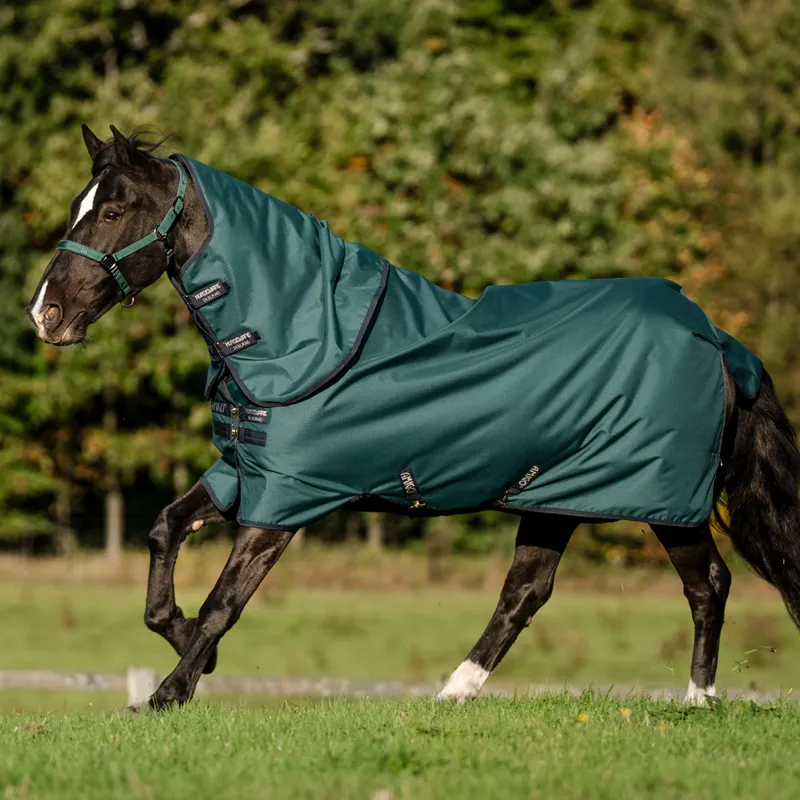 Amigo Ripstop 900D Plus 100g Turnout Rug - Dynasty Green/Navy/Silver