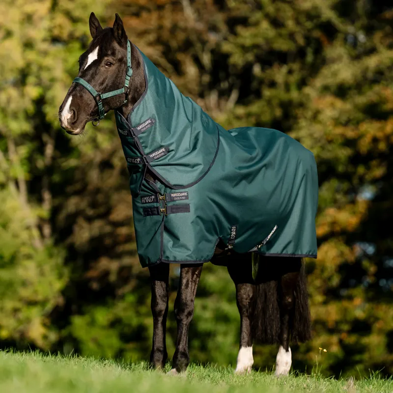 Amigo Ripstop 900D Plus 100g Turnout Rug - Dynasty Green/Navy/Silver-1