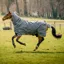 Amigo Bravo 12 Plus 50g V-Front Turnout Rug with 2 Liners Bundle - Shadow/Rose/Navy