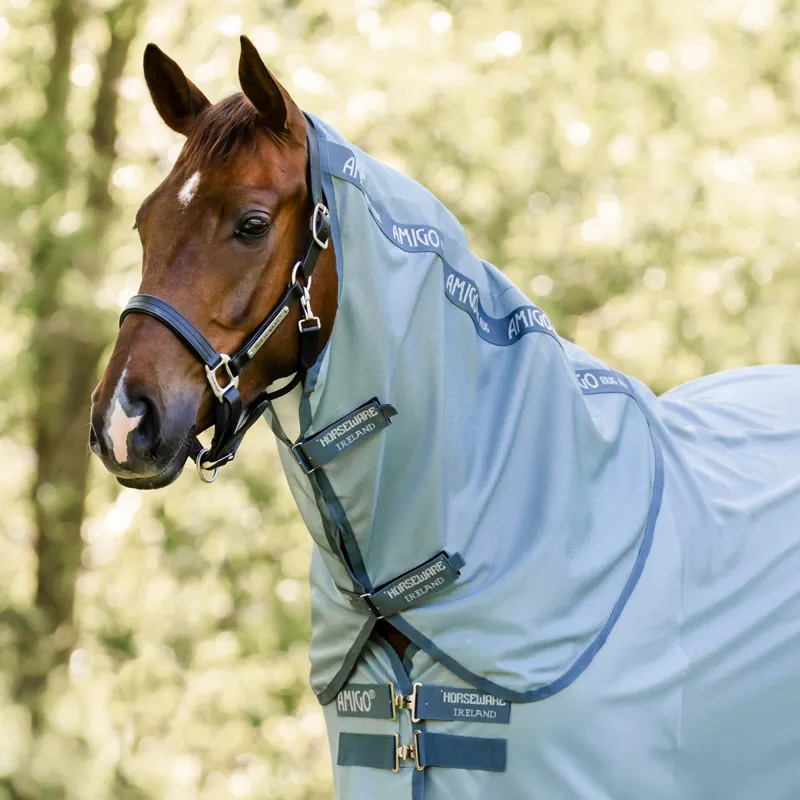 Amigo Bug Rug Plus Fly Rug - Heather Blue/Blue/Silver-1