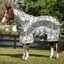 Amigo 3-In-1 Camofly Plus Detach-A-Neck Waterproof Fly Rug - Grey