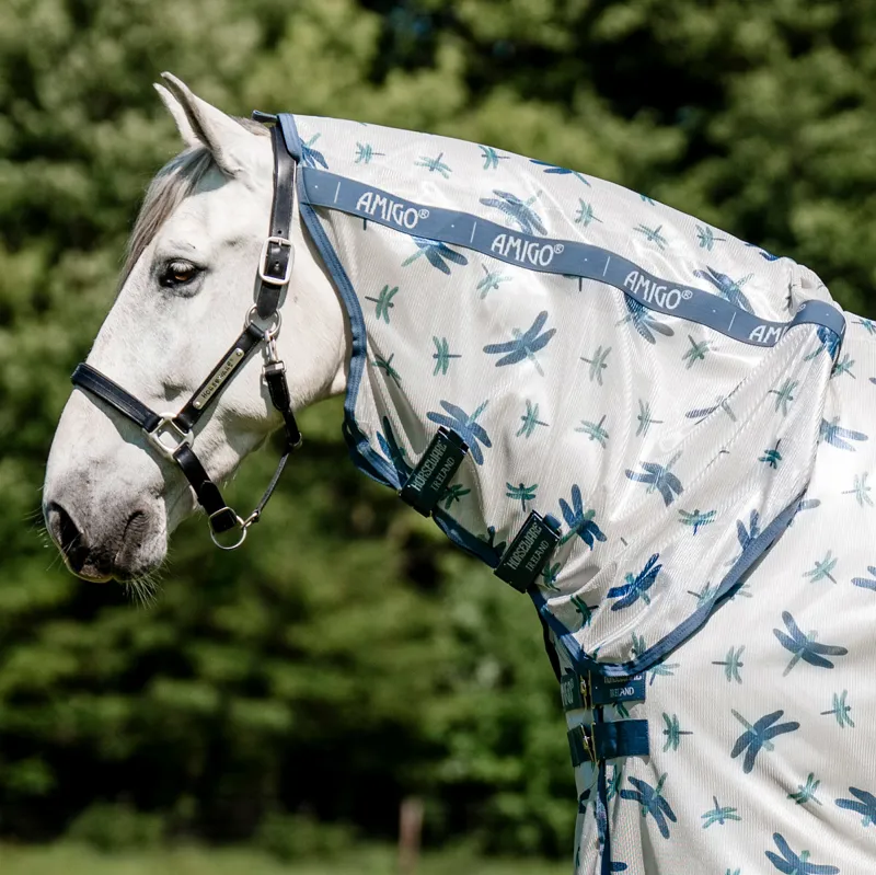 Amigo Integrated Combo Neck Fly Rug - Dragonfly Print/Silver Blue/Sage-1