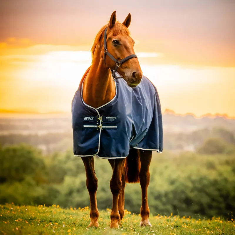 Amigo Pony Ripstop 900D 0g Turnout Rug - Witney Navy