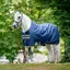 Amigo Ripstop 900D Standard Neck 50g Turnout Rug - Navy/Titanium Grey