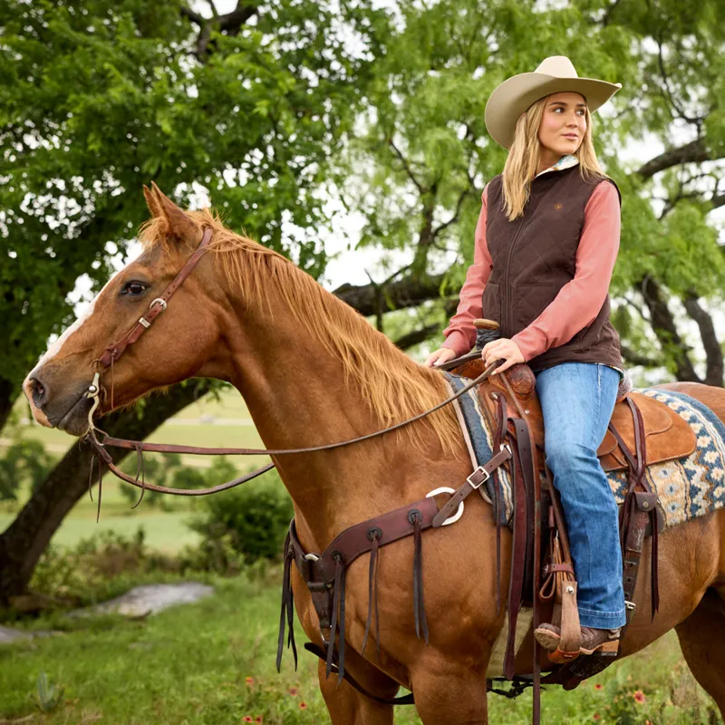 Ariat Dilon 2.0 Womens Reversible Insulated Gilet - Mole-2