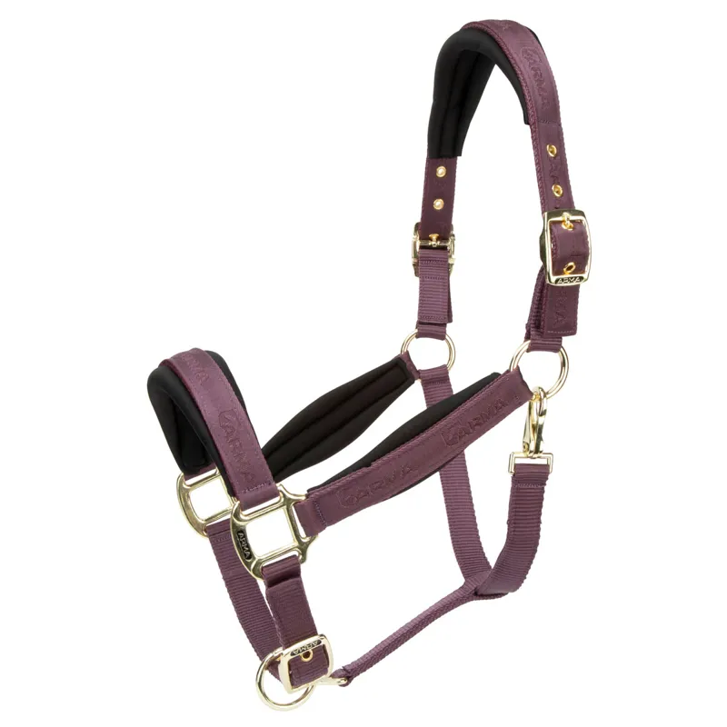 ARMA Padded Headcollar - Black Cherry