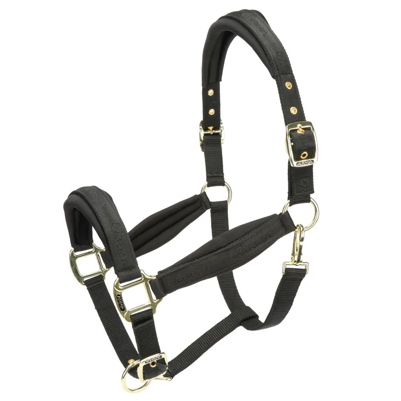 ARMA Padded Headcollar - Black