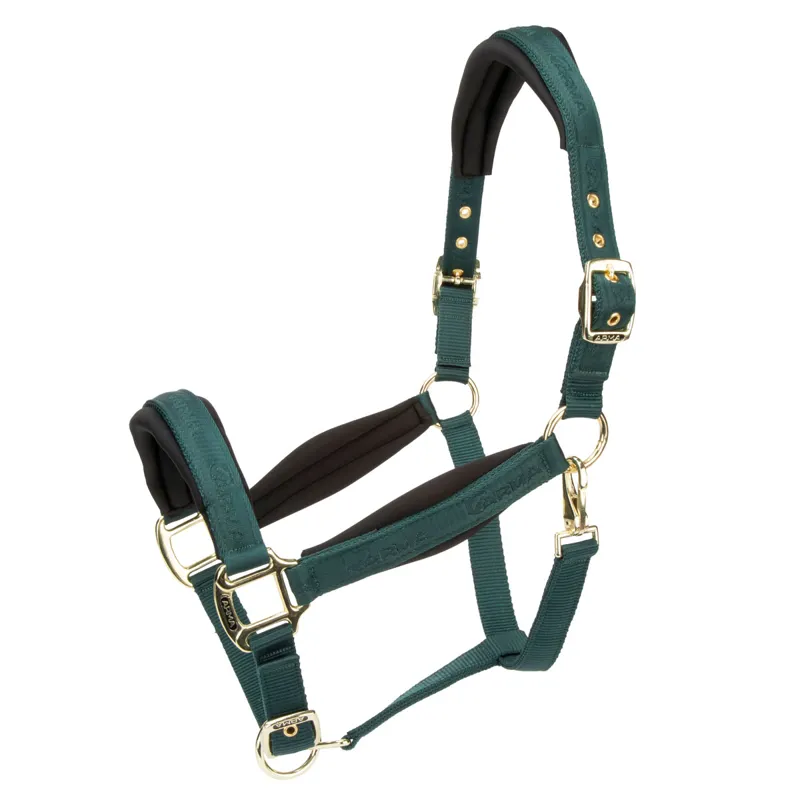 ARMA Padded Headcollar - Green