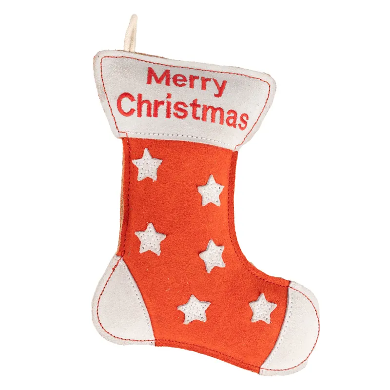 Benji and Flo Christmas Dog Toy - Stocking-1