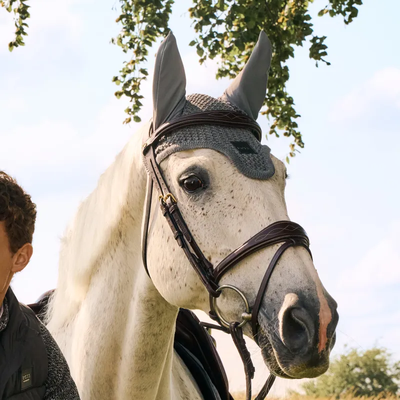 BOSS Equestrian Competition Ears - Grey Melange-1