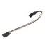 Velociti GARA Fine Diamante Browband - Havana