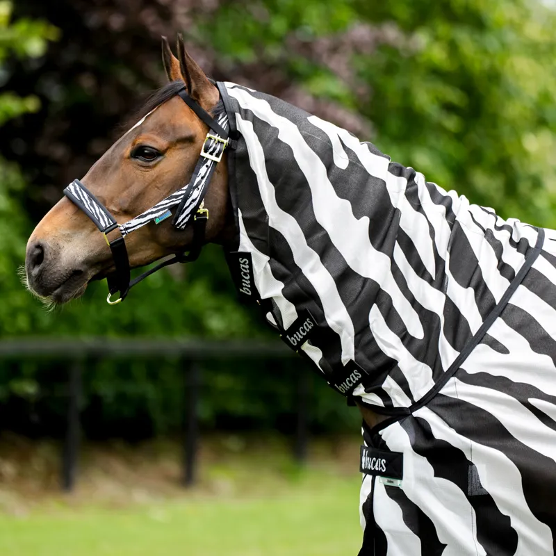 Bucas Buzz-Off Full Neck Fly Rug - Zebra Print-4