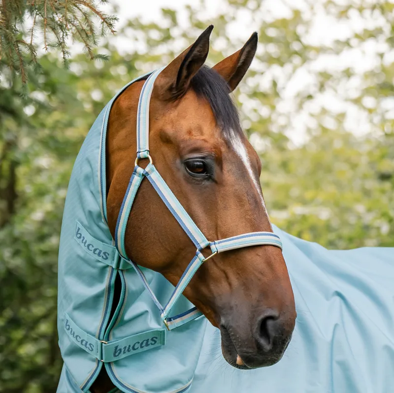 Bucas Dublin Headcollar - Turquoise Pre-Order-2