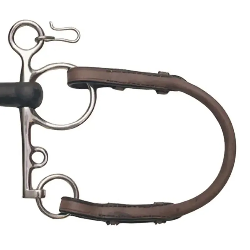 Collegiate Bit Roundings - Brown