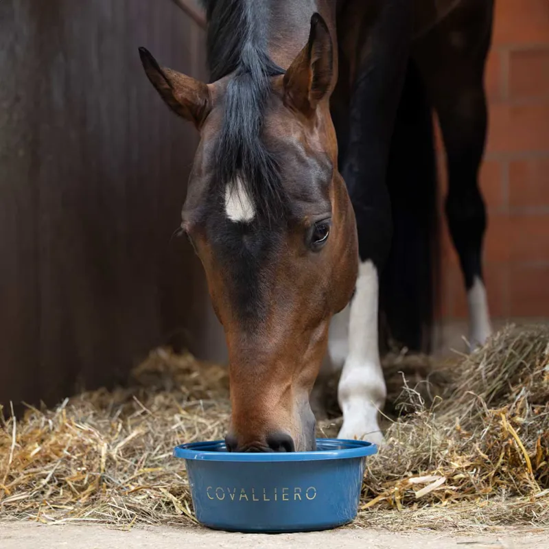 Covalliero Feed Bowl - Smoked Blue-1