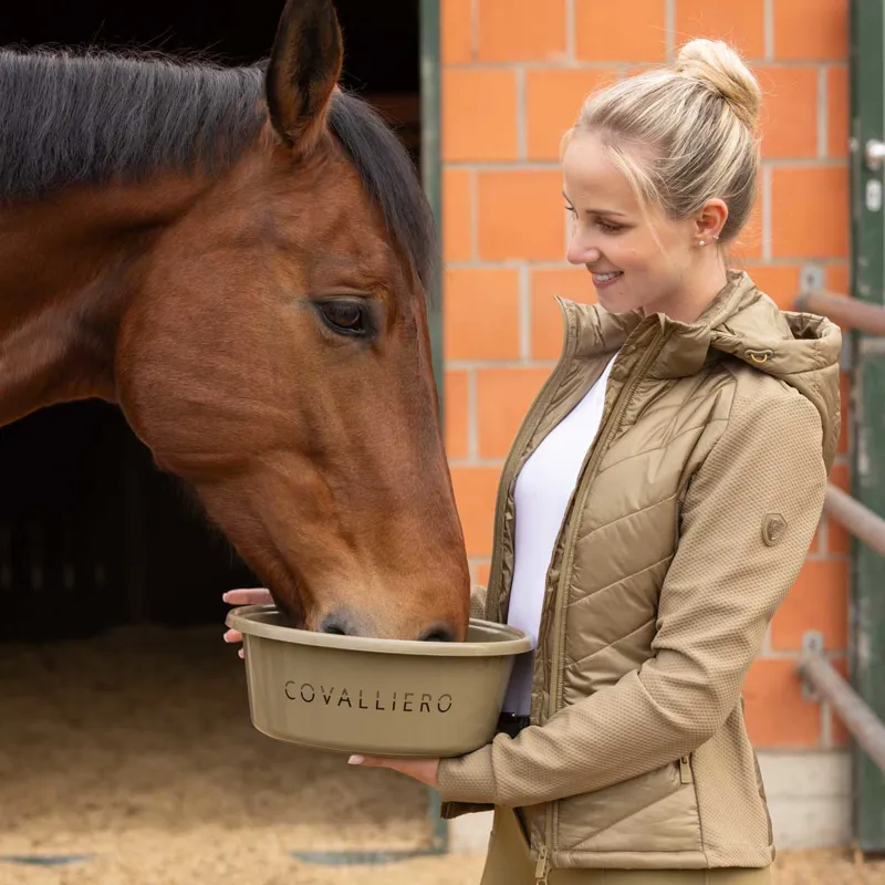 Covalliero Feed Bowl - Walnut-1