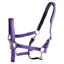 Dever Ascot Synthetic Headcollar - Purple/Black