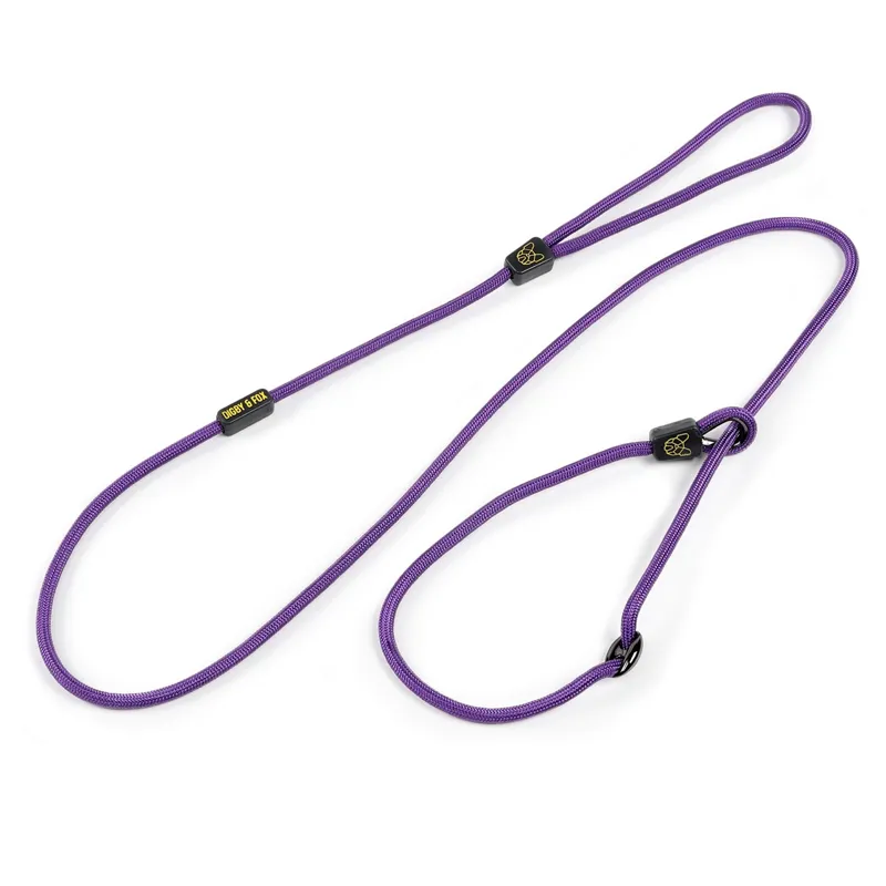 Digby and Fox Pro Slip Dog Lead - Purple