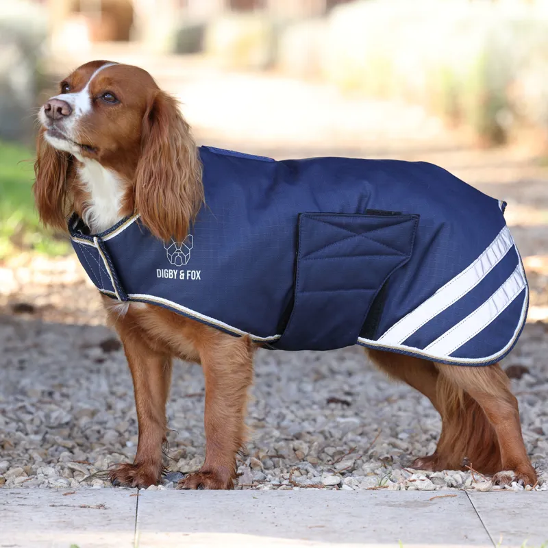 Digby and Fox Waterproof Dog Coat - Navy