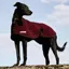 Thermatex Dog Coat - Claret