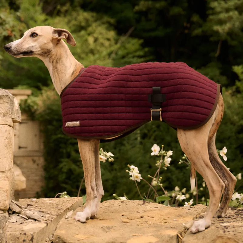 Thermatex Dog Coat - Claret-1