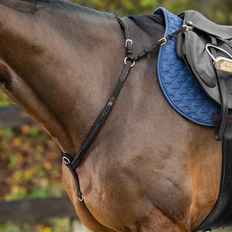 Dy'on D Collection Long Bridge Stitched Breastplate - Black