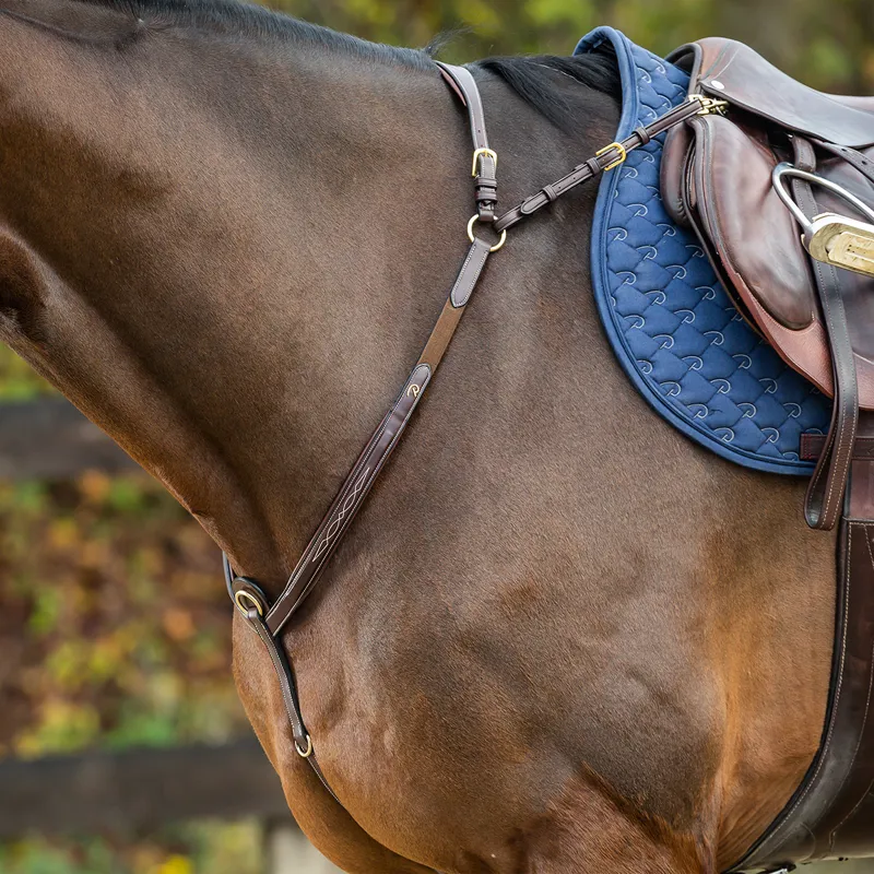 Dy'on D Collection Long Bridge Stitched Breastplate - Brown