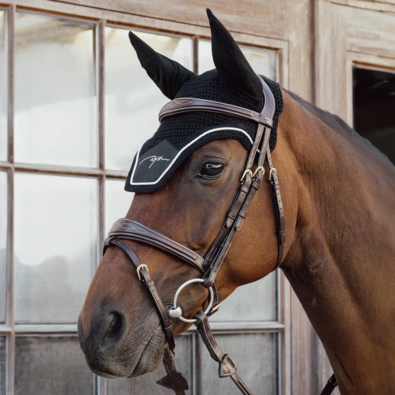 Dy'on Diamond Fly Veil - Black