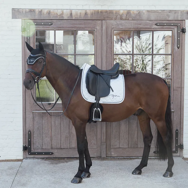 Dy'on Diamond Fly Veil - Black-4