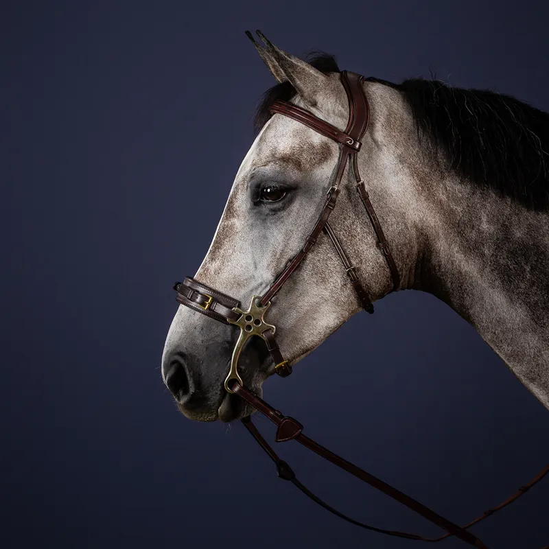 Dy'on New English Hackamore Bridle Cheek Pieces - Brown-1