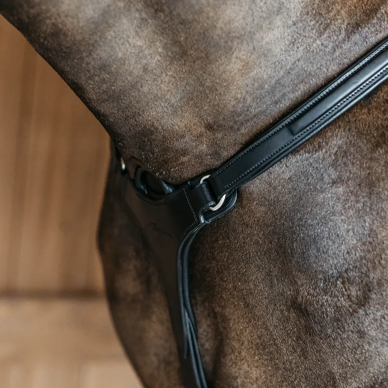 Dy'on New English 5-Point Elastic Breastplate - Black-1