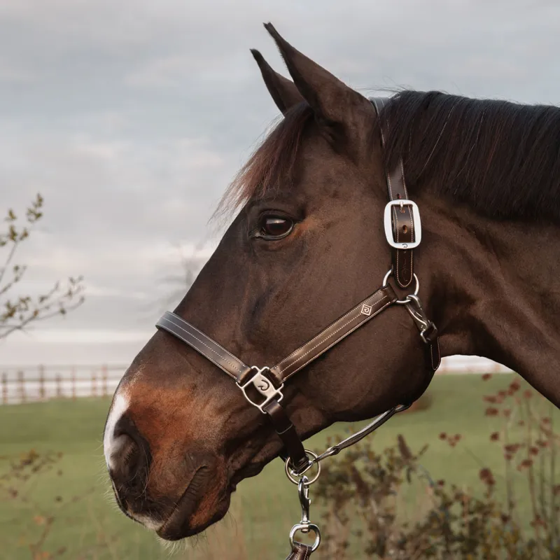 Dy'on US Collection Leather Headcollar with Adjustment - Brown-1
