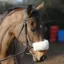 NuuMed Anti-Rub Wool Noseband Cover - Natural