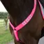 EQUI-FLECTOR Breastplate - Pink
