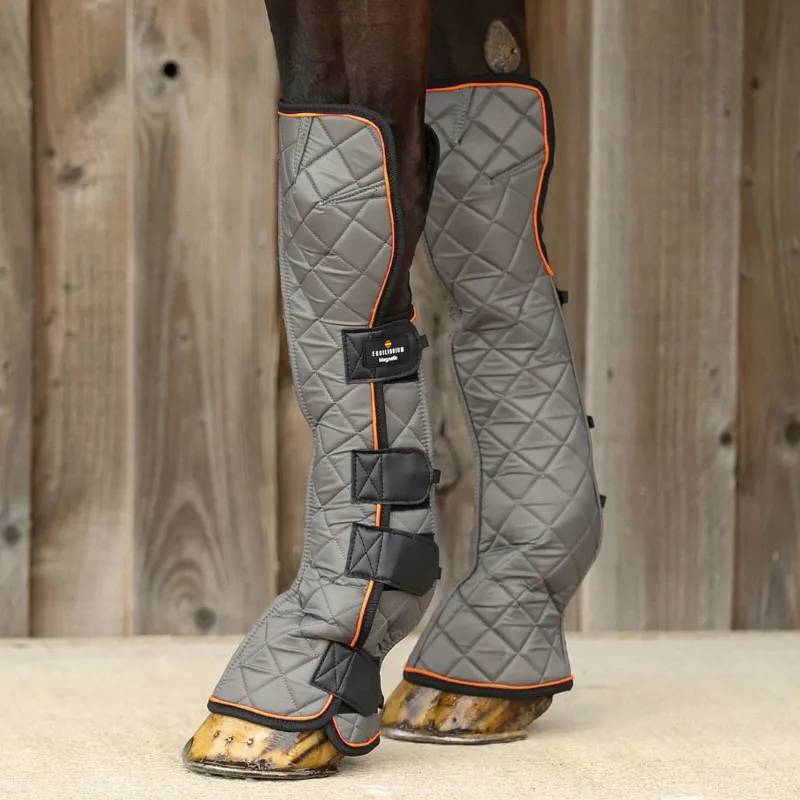 Equilibrium Fore and Knee Magnetic Chaps