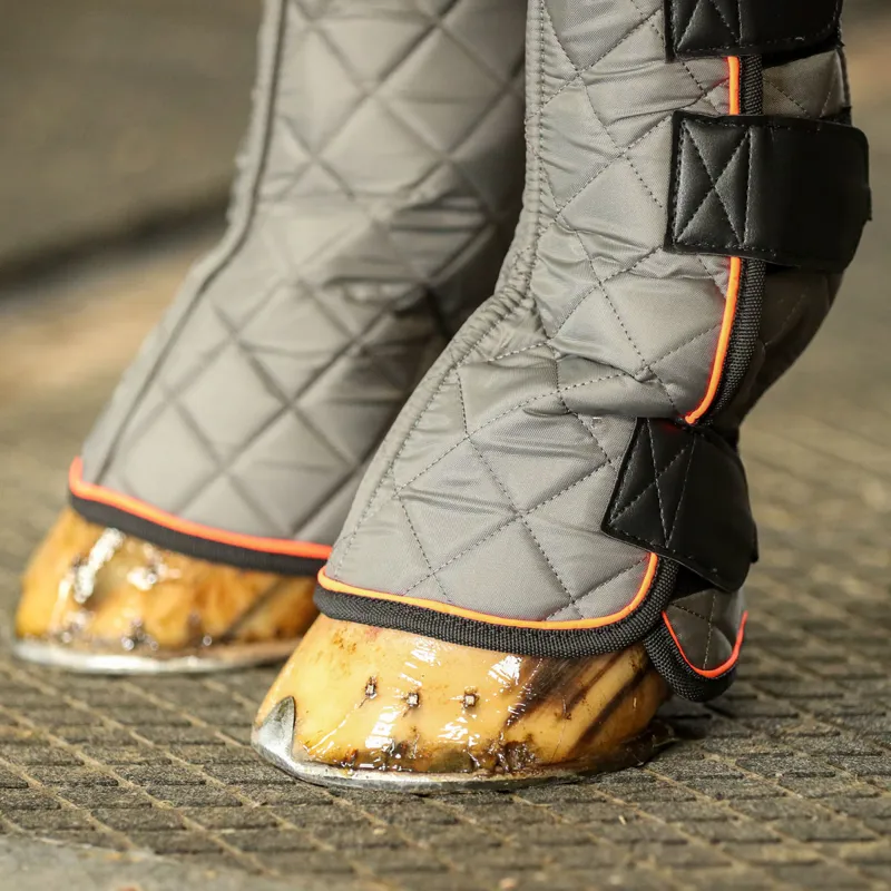 Equilibrium Fore and Knee Magnetic Chaps-1