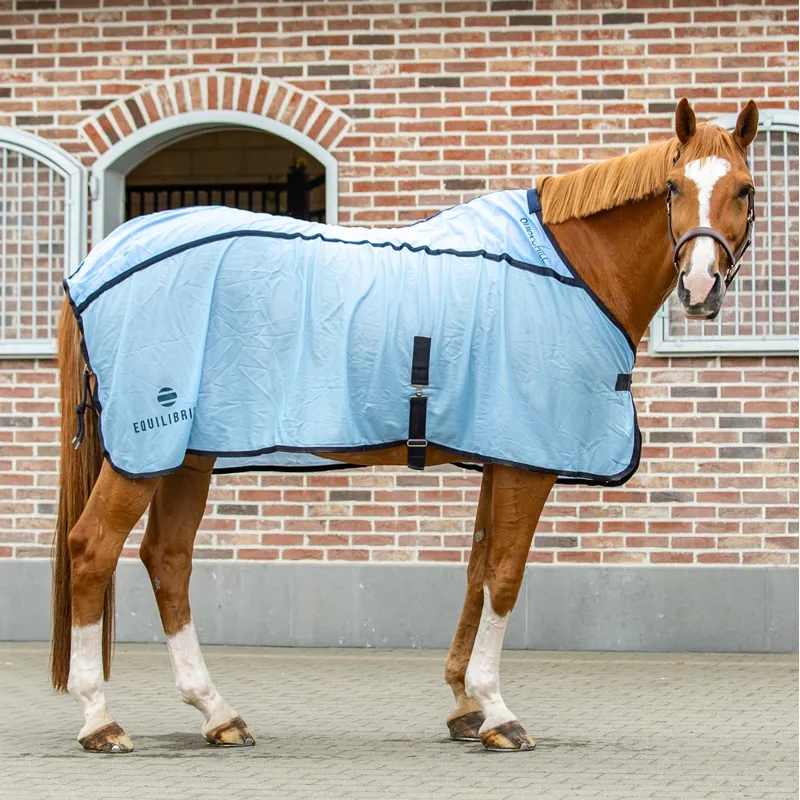 Equilibrium Quick Chill Standard Neck Cooling Rug - Blue