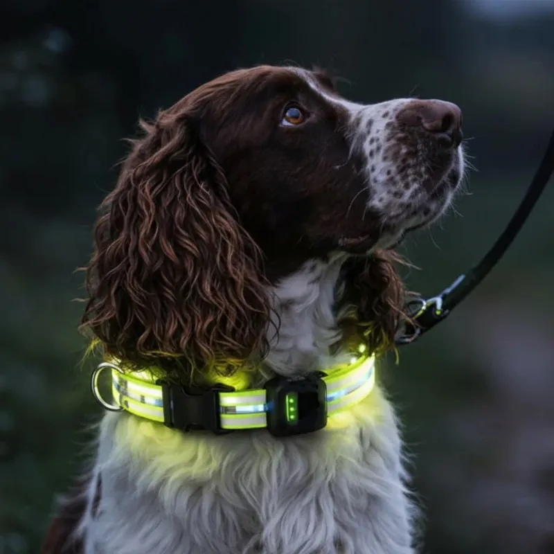 Equi Light LED Rechargeable Dog Collar - Yellow