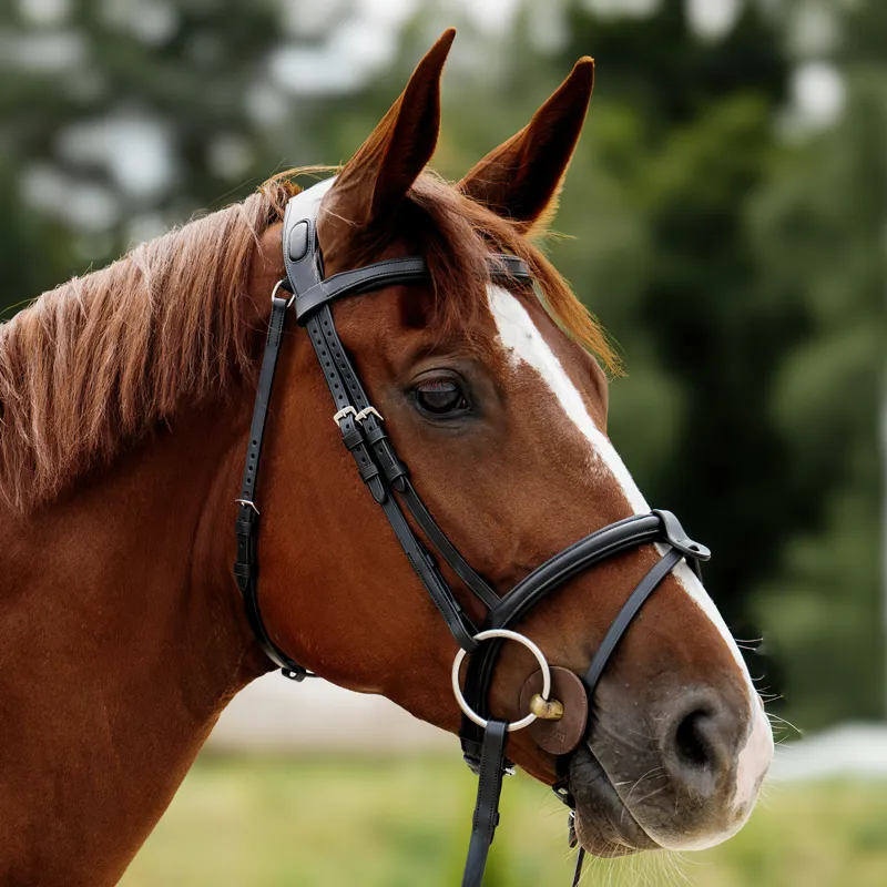 Equiline Anatomic Jumping Removable Flash Bridle - Black-1