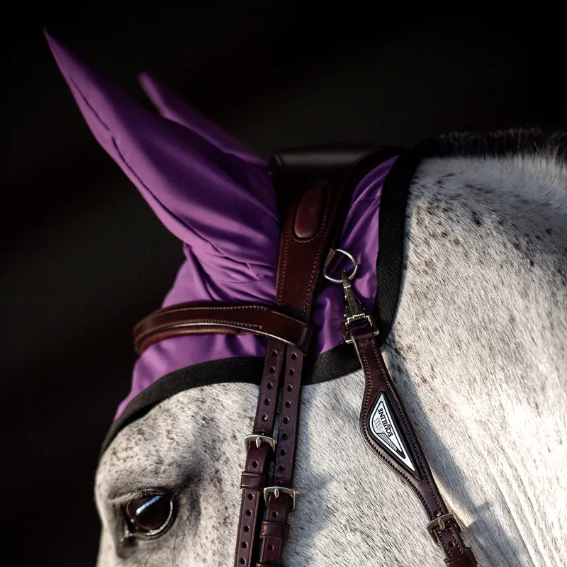Equiline Cumirc Ear Net - Patrician Purple-2